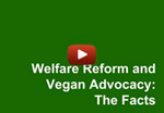 Farm Sanctuary video