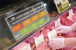 Whole Foods Meat Display